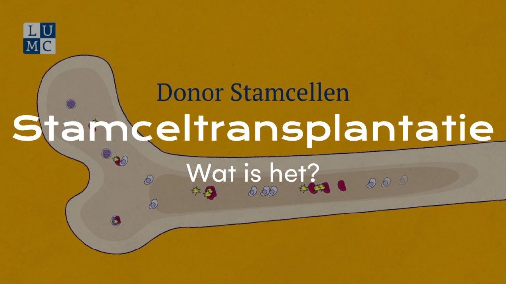 LUMC - Stamceltransplantatie wat is het?